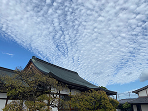 大谷徹奘師の法話
