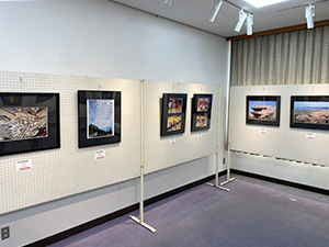コラボ展