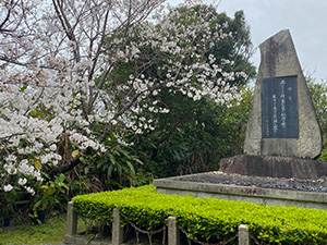 茶道部研修茶会