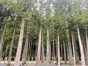 高野山奥の院