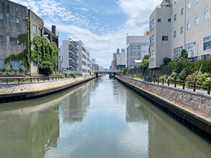 八代将軍吉宗の紀州ゆかりの地巡り