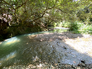 河川の視察