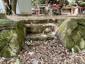 河川の視察
