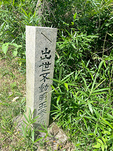河川の視察