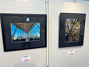 コラボ展