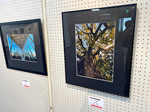 コラボ展