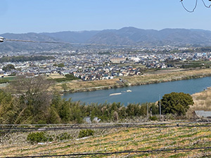 紀の川