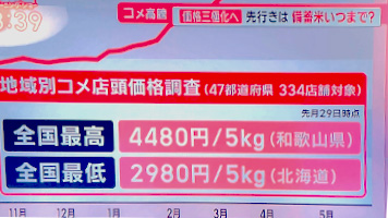 テレビでの報道