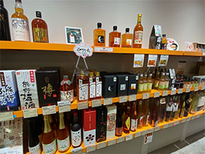 わかやま紀州館