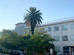 向陽高校