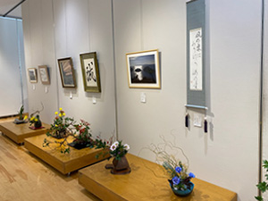 �������p�W