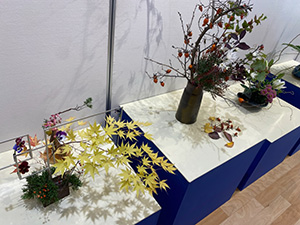 �������p�W