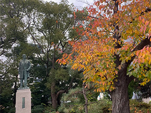 �a�̎R���̌F�΍�