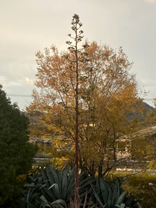 �����E�[�c����