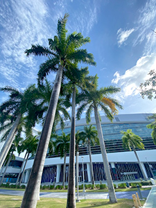 ローンデポパーク