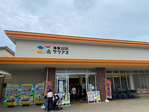海南サクアス