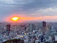 ������ �s���̌i�F